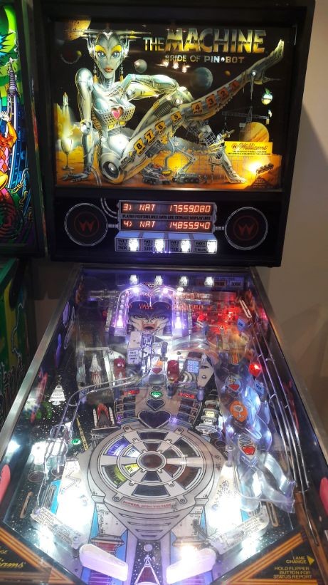 Flipper The Machine Bride Of PinBot