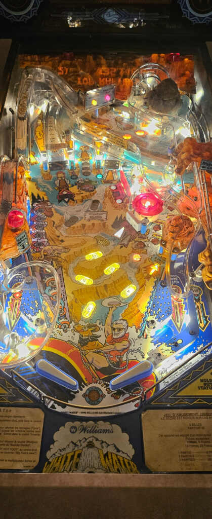 Flipper restauré remis en état FlipDream