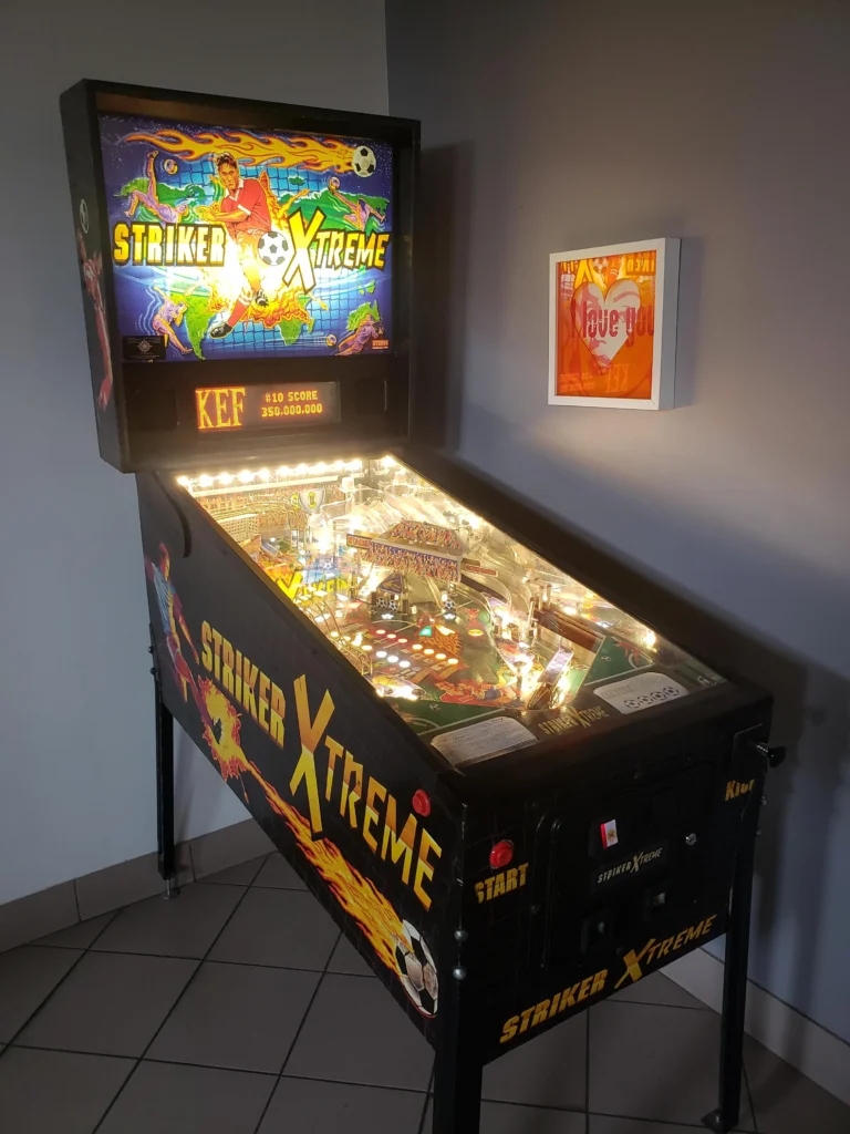 Flipper rénové FlipDream Vernon