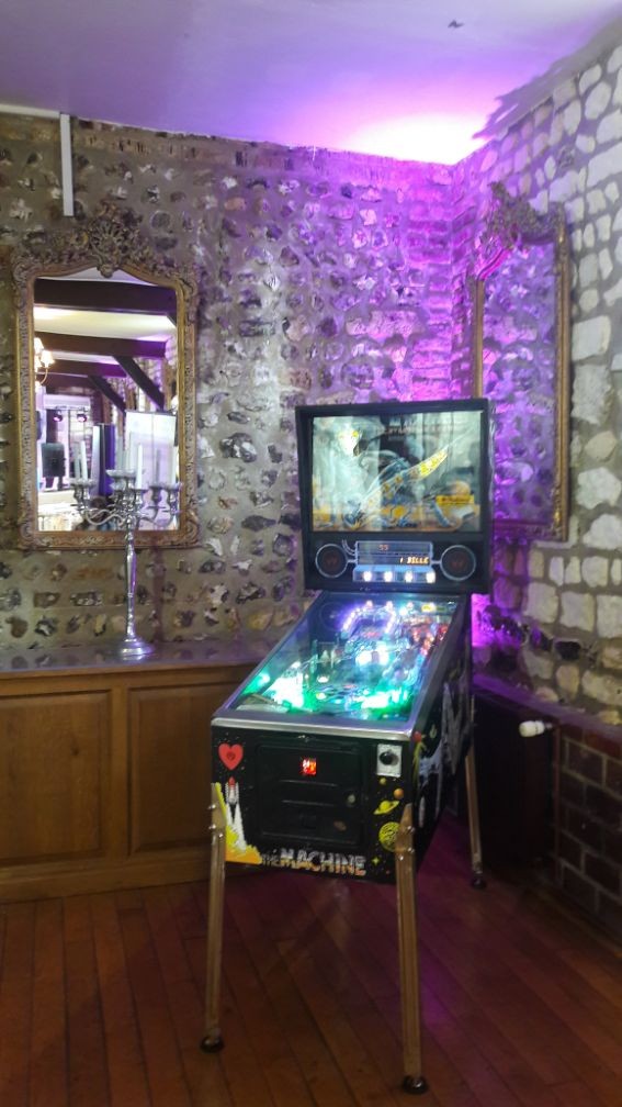 Flipper The Machine Bride Of PinBot